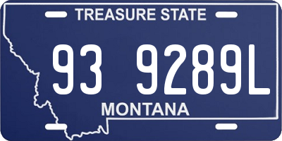 MT license plate 939289L
