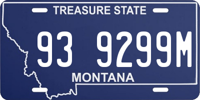 MT license plate 939299M
