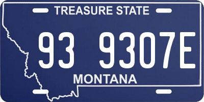 MT license plate 939307E