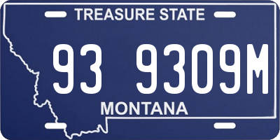MT license plate 939309M