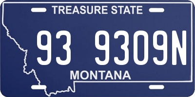 MT license plate 939309N