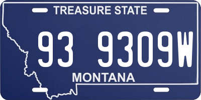 MT license plate 939309W