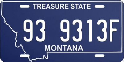 MT license plate 939313F