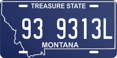 MT license plate 939313L