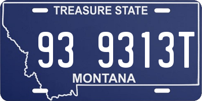 MT license plate 939313T