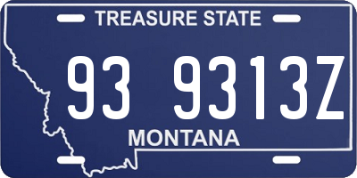 MT license plate 939313Z