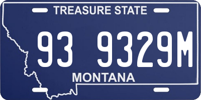 MT license plate 939329M
