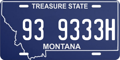 MT license plate 939333H
