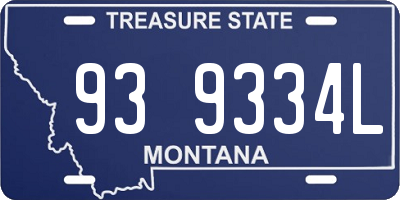 MT license plate 939334L