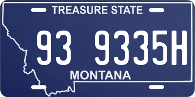 MT license plate 939335H