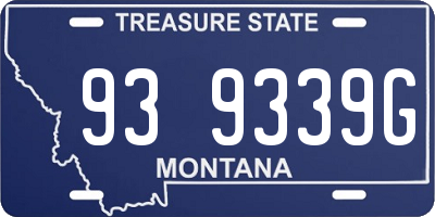 MT license plate 939339G