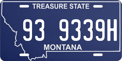 MT license plate 939339H