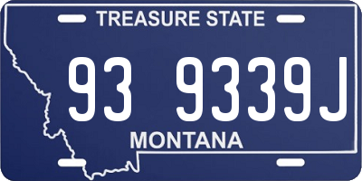 MT license plate 939339J