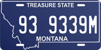 MT license plate 939339M