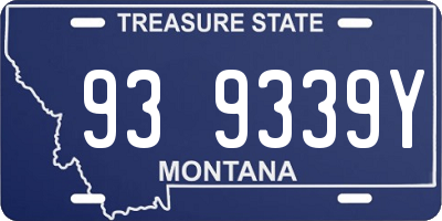 MT license plate 939339Y