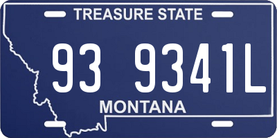 MT license plate 939341L