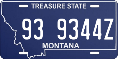 MT license plate 939344Z