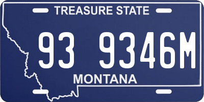 MT license plate 939346M