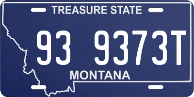 MT license plate 939373T