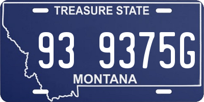 MT license plate 939375G