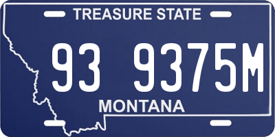 MT license plate 939375M