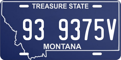 MT license plate 939375V