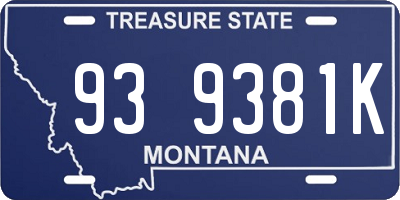 MT license plate 939381K