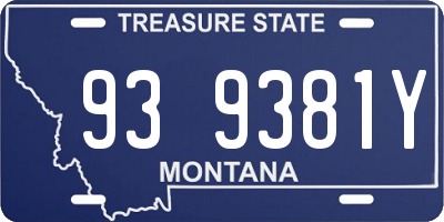 MT license plate 939381Y