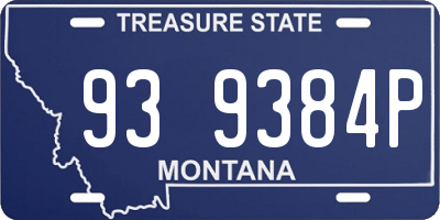 MT license plate 939384P