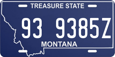 MT license plate 939385Z