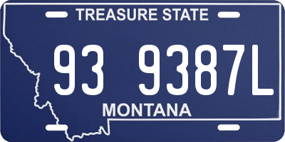 MT license plate 939387L