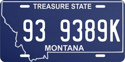 MT license plate 939389K