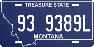 MT license plate 939389L