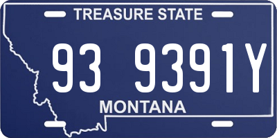 MT license plate 939391Y