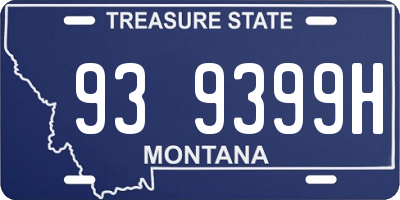 MT license plate 939399H