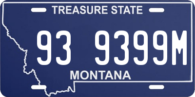 MT license plate 939399M