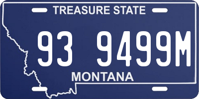 MT license plate 939499M