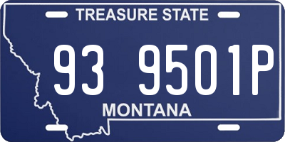 MT license plate 939501P