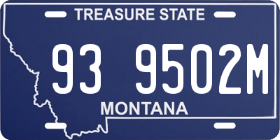 MT license plate 939502M