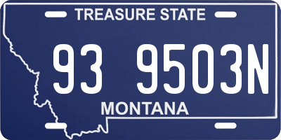 MT license plate 939503N