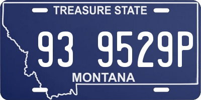 MT license plate 939529P