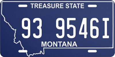 MT license plate 939546I