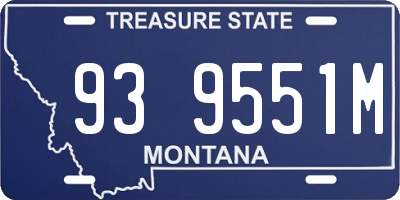 MT license plate 939551M