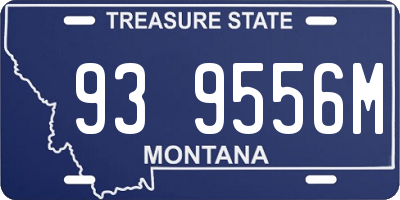 MT license plate 939556M