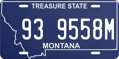 MT license plate 939558M