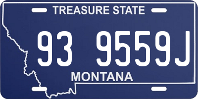 MT license plate 939559J