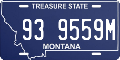 MT license plate 939559M