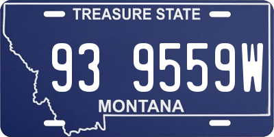 MT license plate 939559W