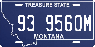 MT license plate 939560M