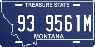 MT license plate 939561M